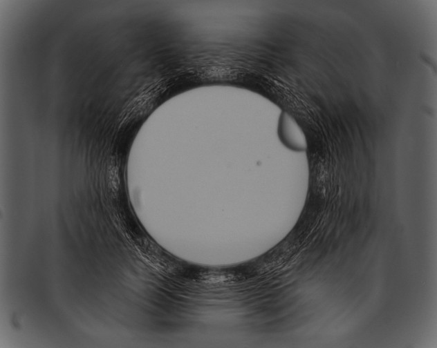 X0000097490746200803201530