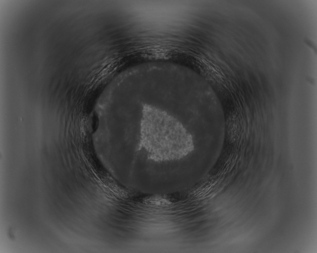 X0000097490747200803201530