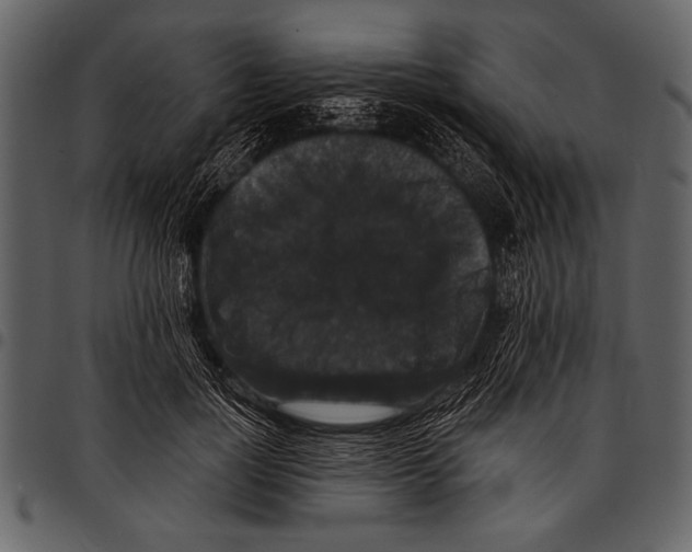 X0000097490748200803201530