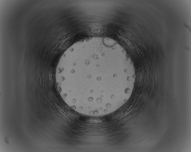 X0000097490749200803201530