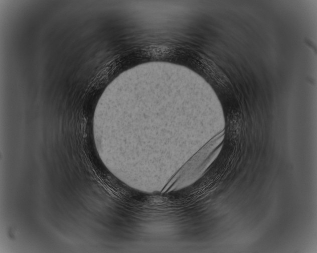 X0000097490750200803201530