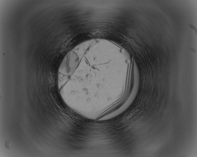 X0000097490751200803201530