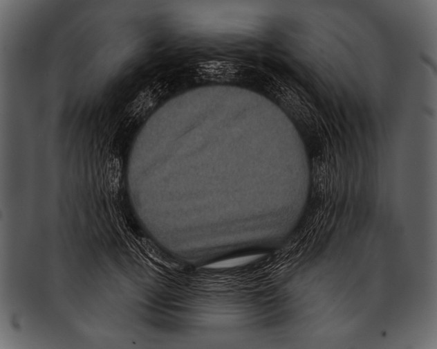 X0000097490752200803201530