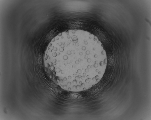 X0000097490753200803201530