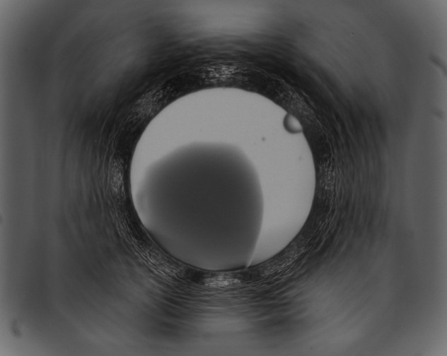 X0000097490754200803201530