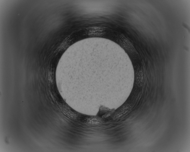 X0000097490755200803201531