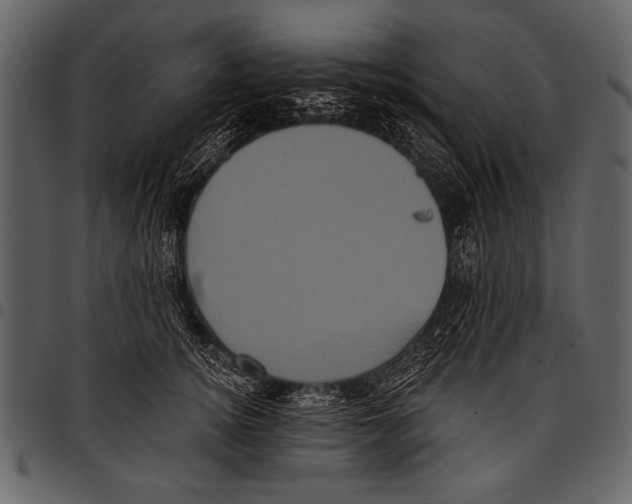 X0000097490756200803201531