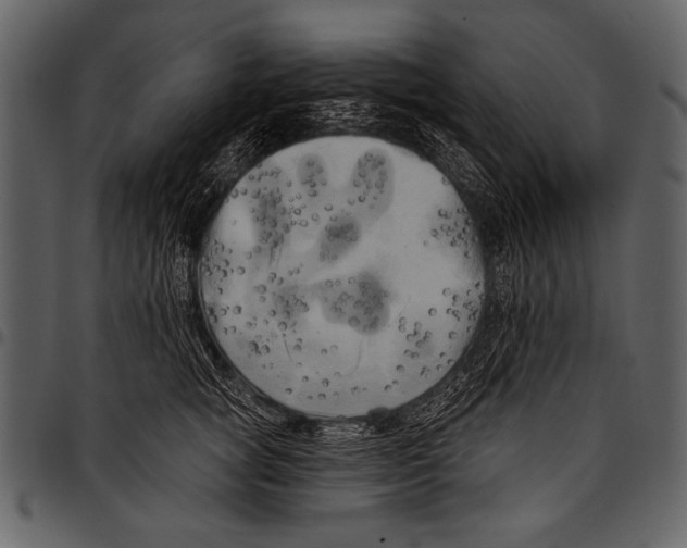 X0000097490757200803201531