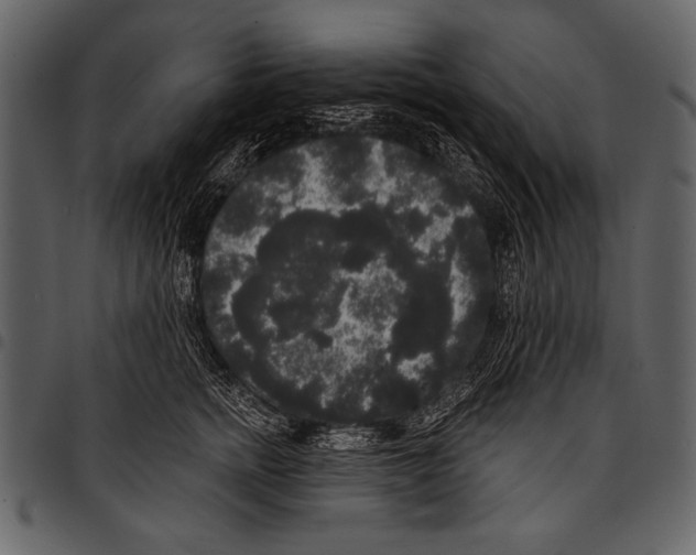 X0000097490758200803201531