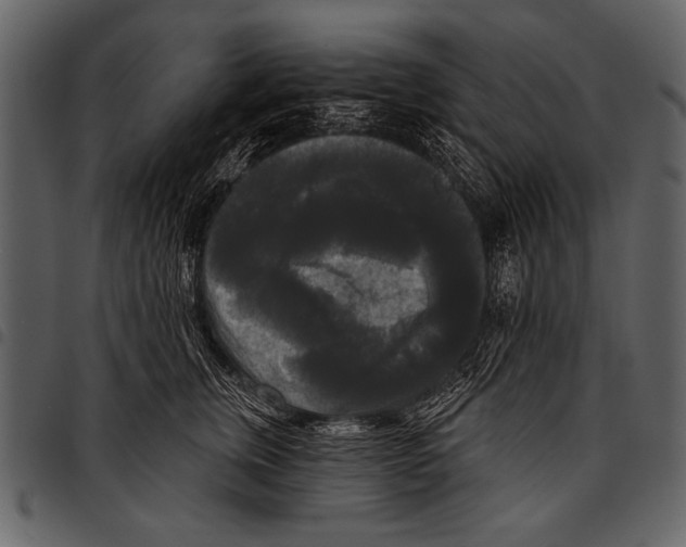 X0000097490759200803201531