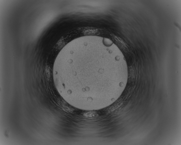 X0000097490761200803201531