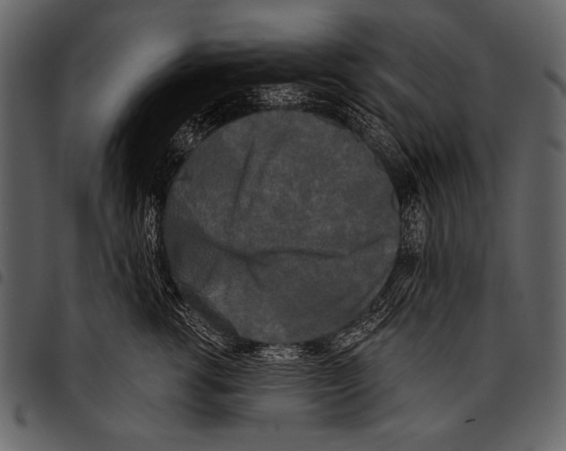 X0000097490762200803201531