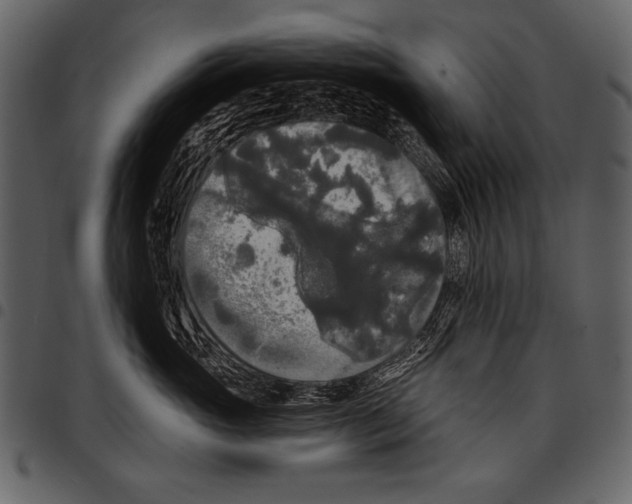 X0000097490765200803201531