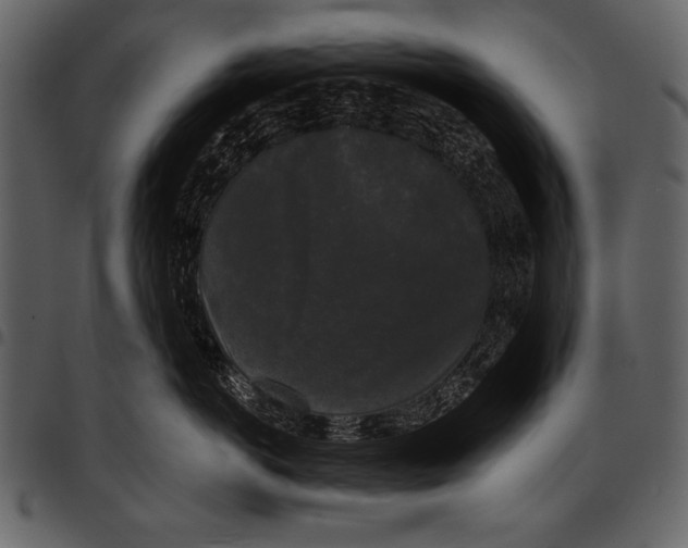 X0000097490766200803201531