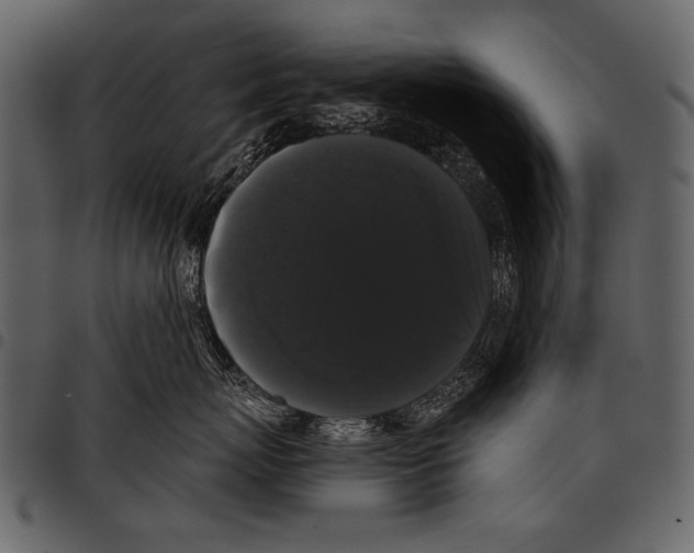 X0000097490767200803201531