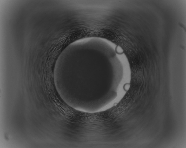 X0000097490769200803201530