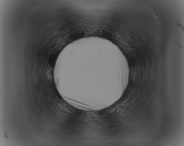 X0000097490770200803201530