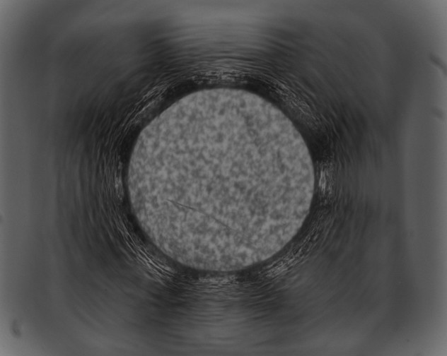 X0000097490771200803201530