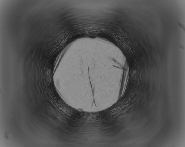 X0000097490772200803201530