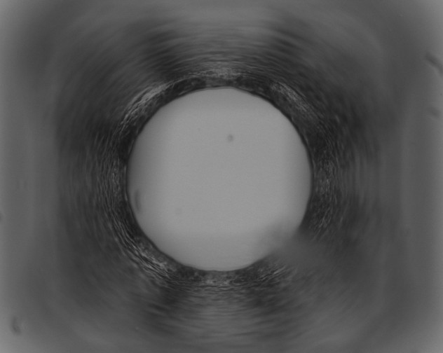 X0000097490773200803201530