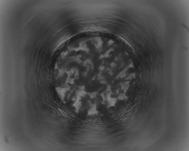 X0000097490775200803201530