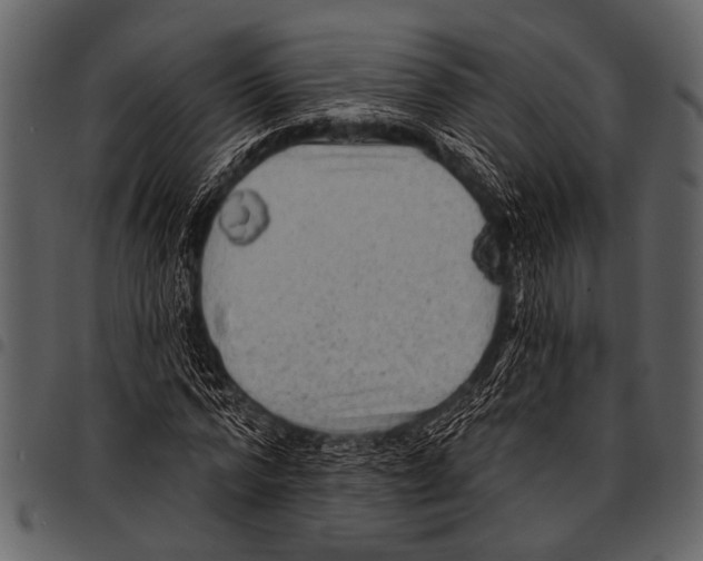 X0000097490776200803201530