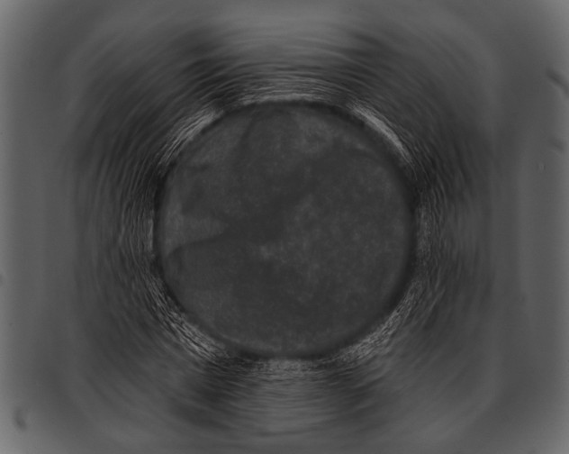 X0000097490777200803201530