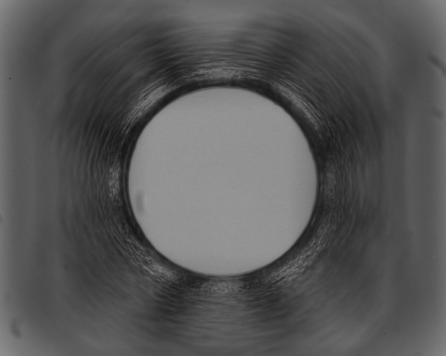 X0000097490778200803201530