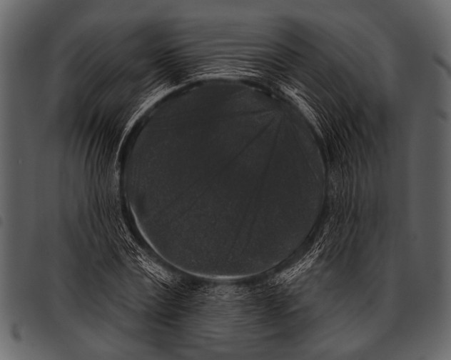 X0000097490779200803201530