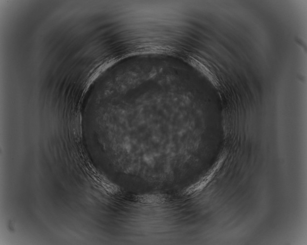 X0000097490781200803201530