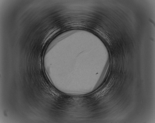 X0000097490782200803201530