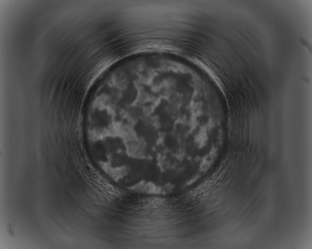 X0000097490783200803201530