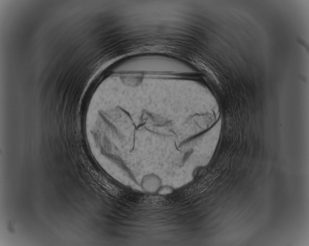 X0000097490784200803201530