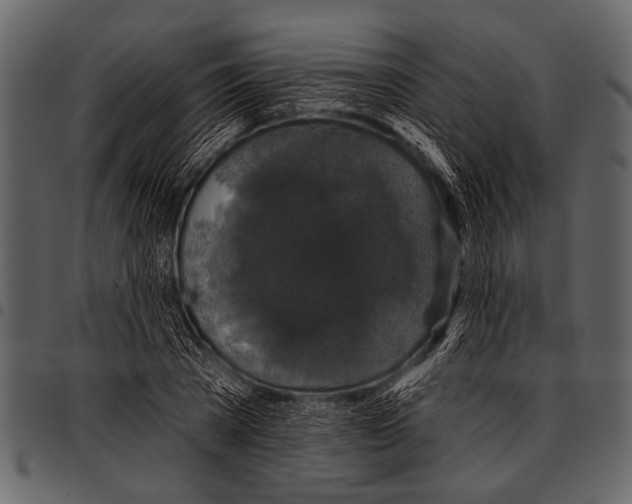 X0000097490785200803201530