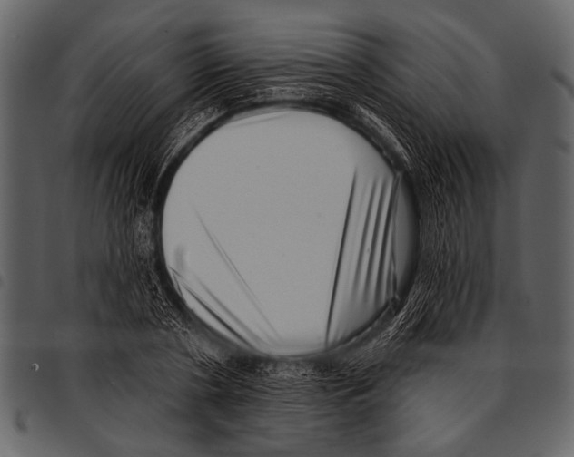 X0000097490786200803201530