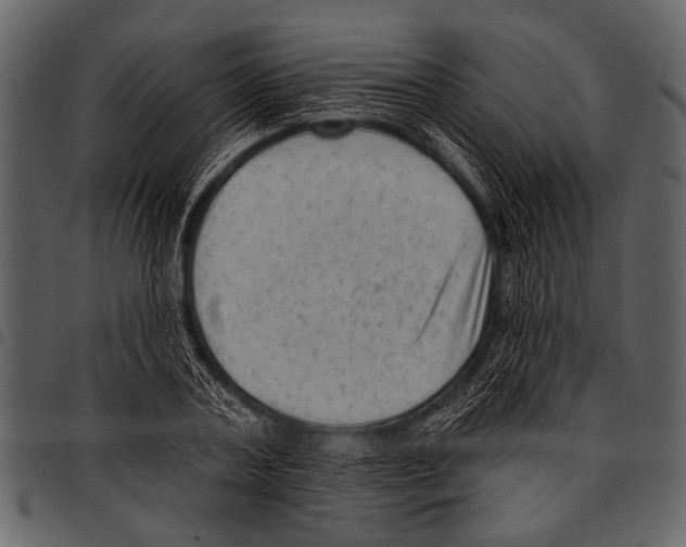 X0000097490787200803201530