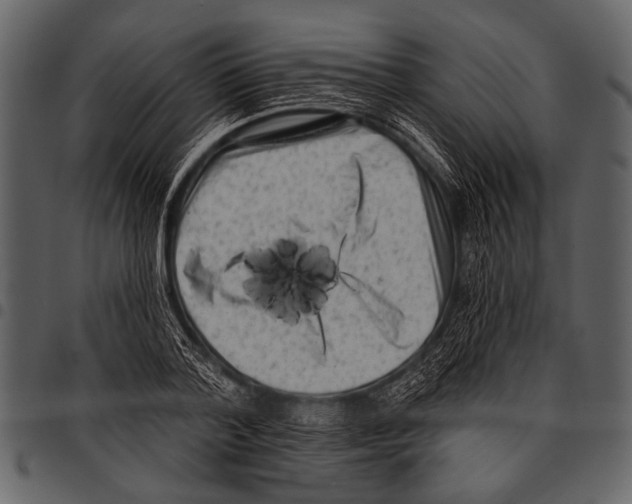 X0000097490788200803201530