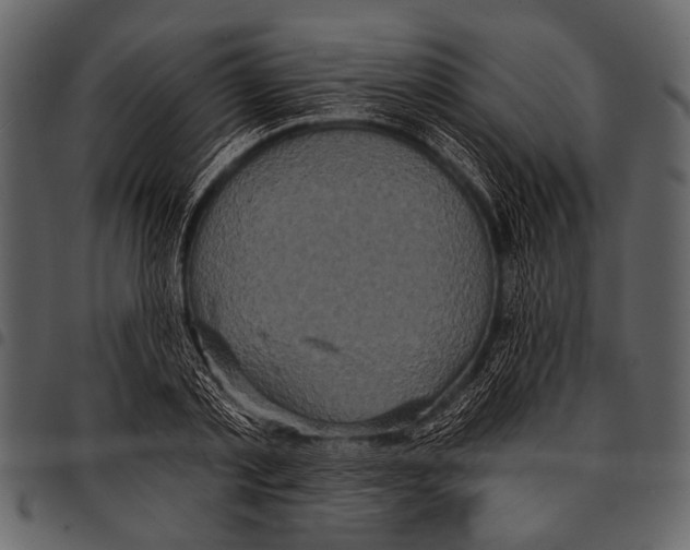 X0000097490789200803201530