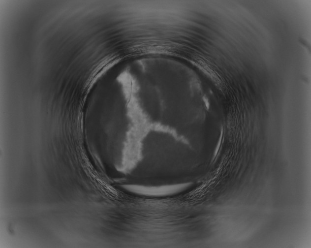 X0000097490790200803201530