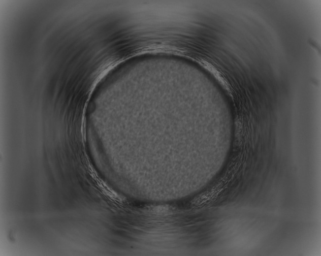 X0000097490791200803201530