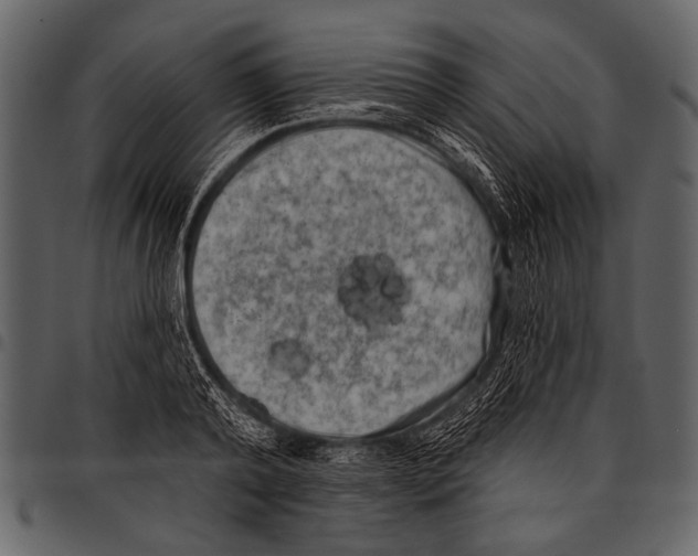 X0000097490792200803201530