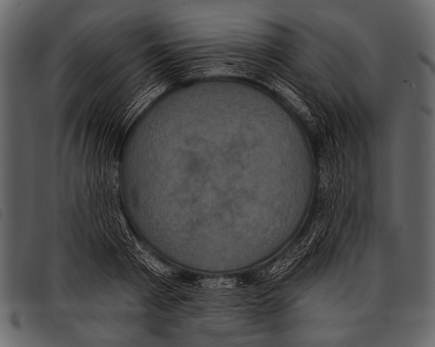 X0000097490793200803201530