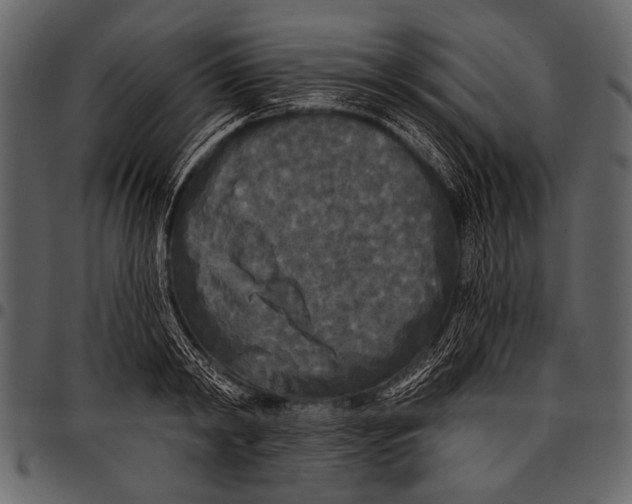 X0000097490798200803201530