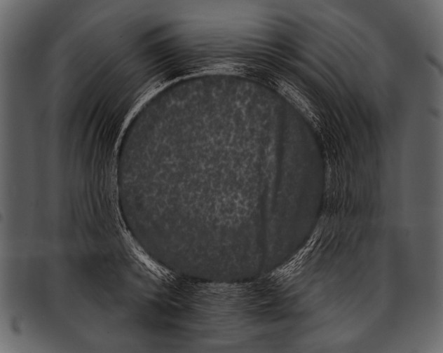 X0000097490800200803201530