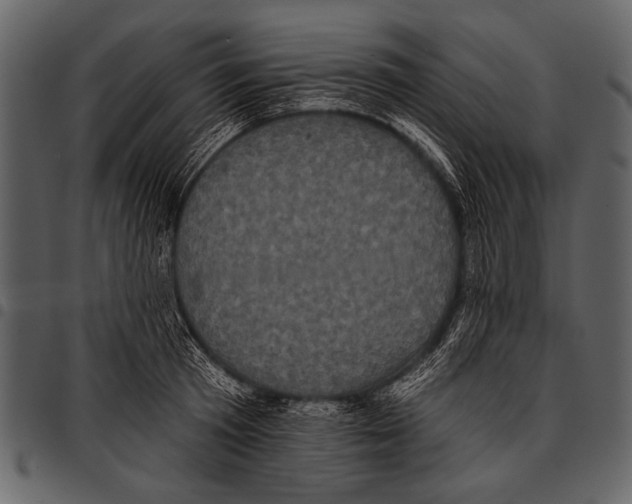 X0000097490801200803201530