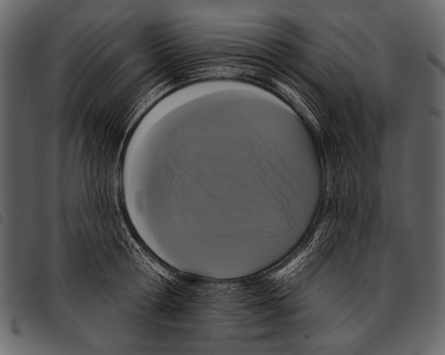 X0000097490802200803201530