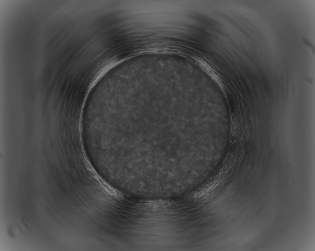 X0000097490803200803201530