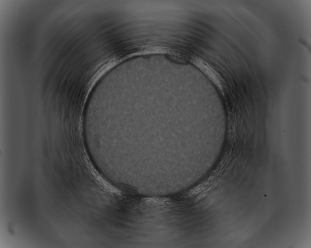 X0000097490805200803201530