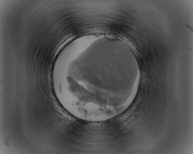 X0000097490806200803201530