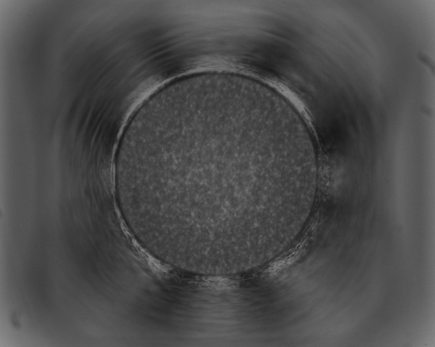 X0000097490807200803201530